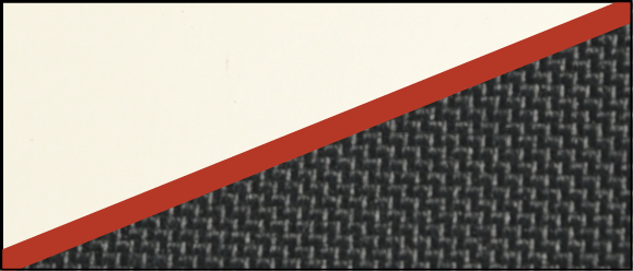 nuovo-sito_BSC-1024×563