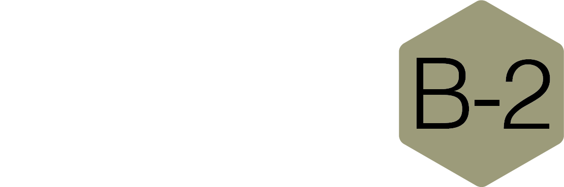 logo b2